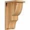 Ekena Millwork Ridgewood Rough Sawn Corbel w/Backplate, Western Red Cedar, 8"W x 10"D x 18"H COR08X10X18RID01RWR - alternate 1